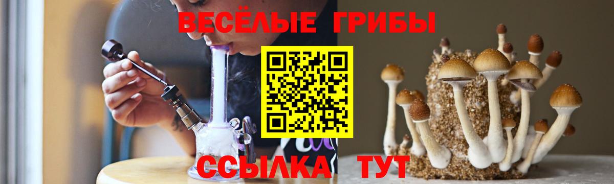 Псилоцибиновые грибы GOLDEN TEACHER  Псилоцибиновые грибы Magic Shrooms  Тольятти  Вход с VPN 